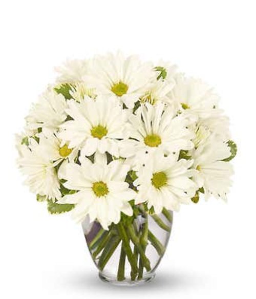 Daisy Bowl