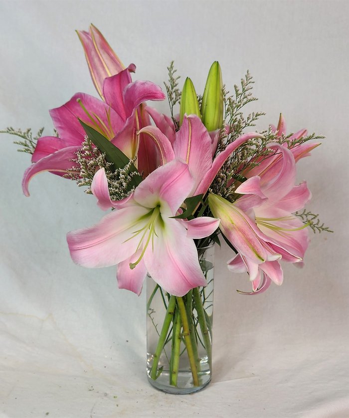 Stargazers in a Vase