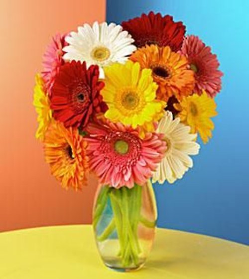 Gerber Daisy Vase