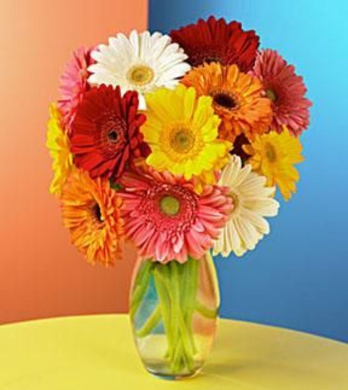 Gerber Daisy Vase