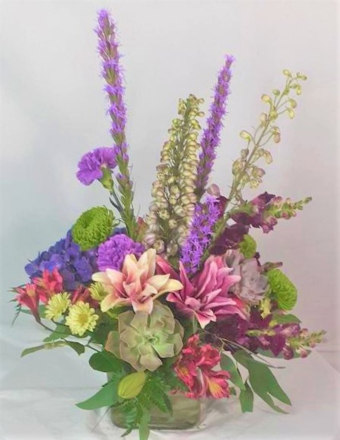 Large Succulent Pave\'