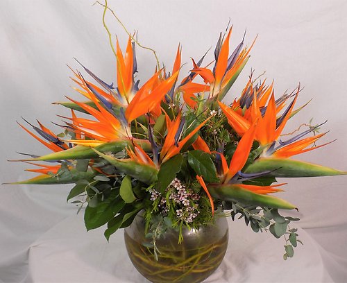 Nothing But Paradise