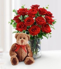 One Dozen Red Roses with Bear - Vday