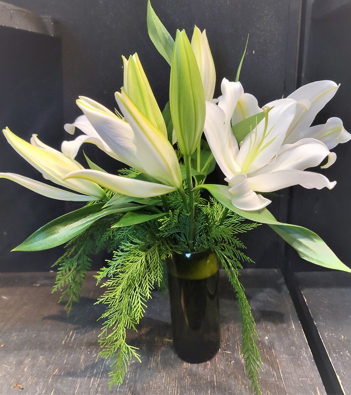 Winter Lilies
