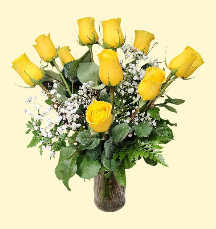 One Dozen Yellow Roses
