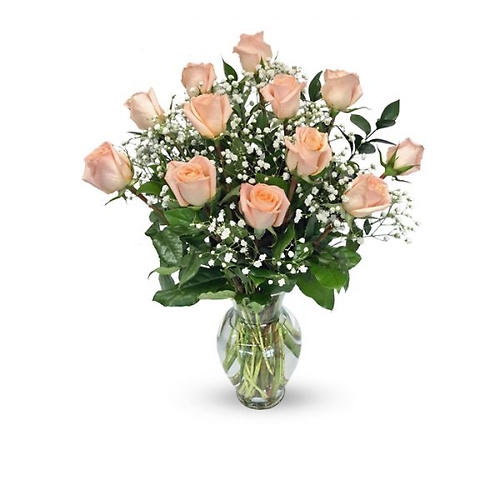 One Dozen Peach Long Stem Roses - Vday