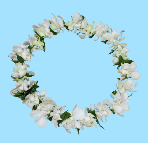 White Orchid Lei