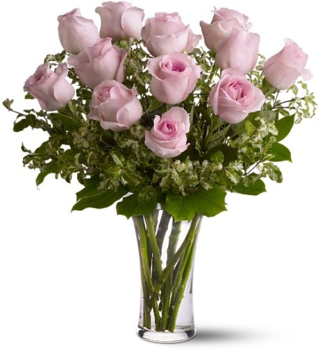One Dozen Pink Long Stem Roses - Vday