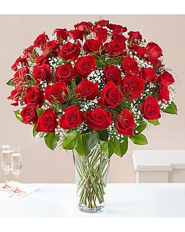Four Dozen Red Long Stem Roses - Vday