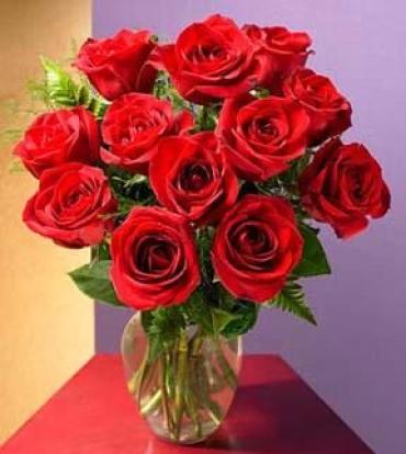 Dozen Red Roses Medium Stemmed in a Vase