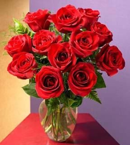 Dozen Red Roses Medium Stemmed in a Vase