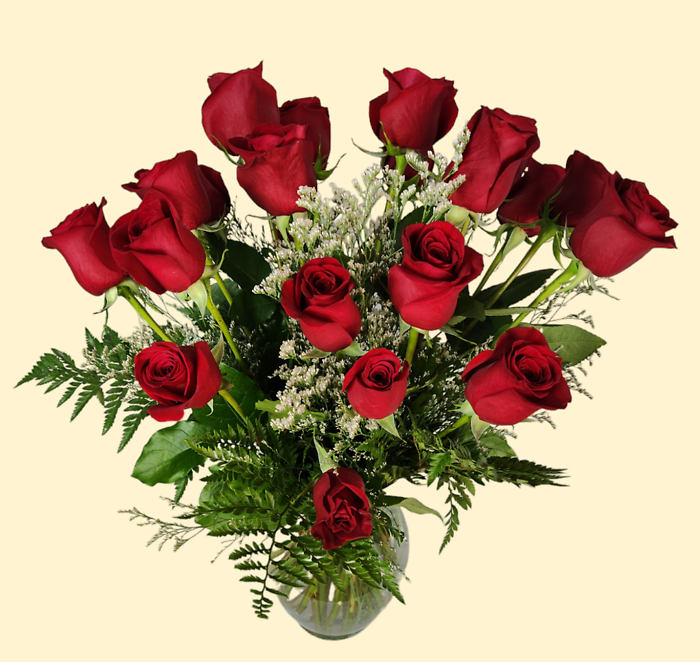 16 Roses - Choose Your Color/Quantity