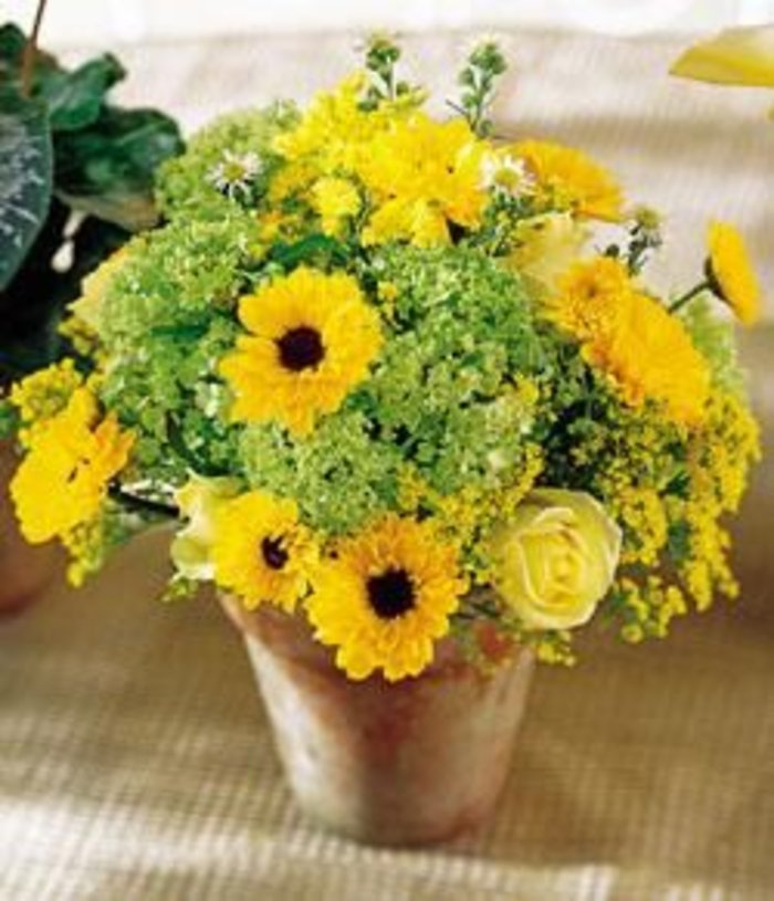 The Botanica Centerpiece