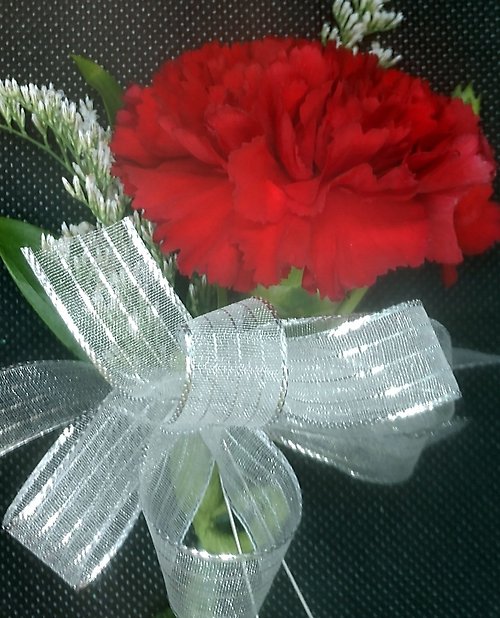 Colorful Carnation Pin-on