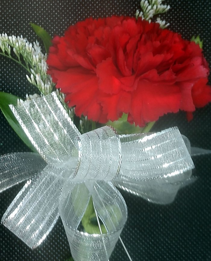 Colorful Carnation Pin-on
