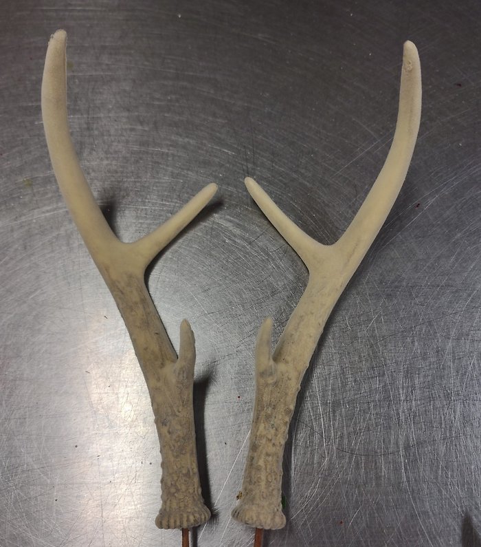 Faux Antlers