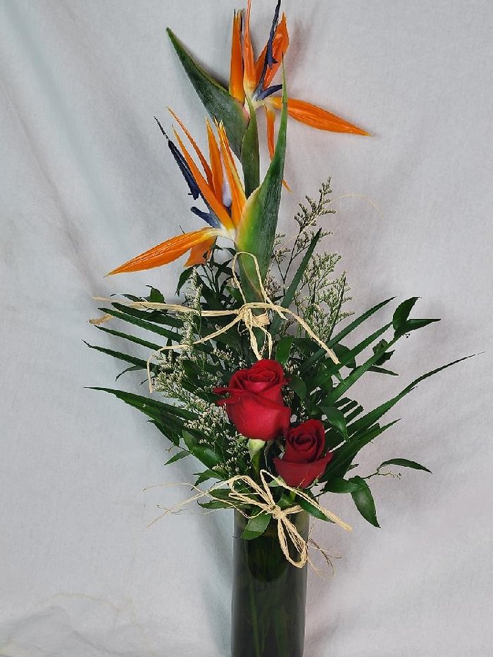 Bird of Paradise Topiary