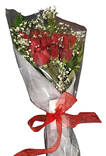 Dozen Red Medium Stemmed Roses Wrapped