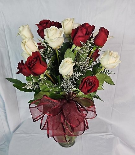 Two Dozen Red & White Long Stem Roses - Vday