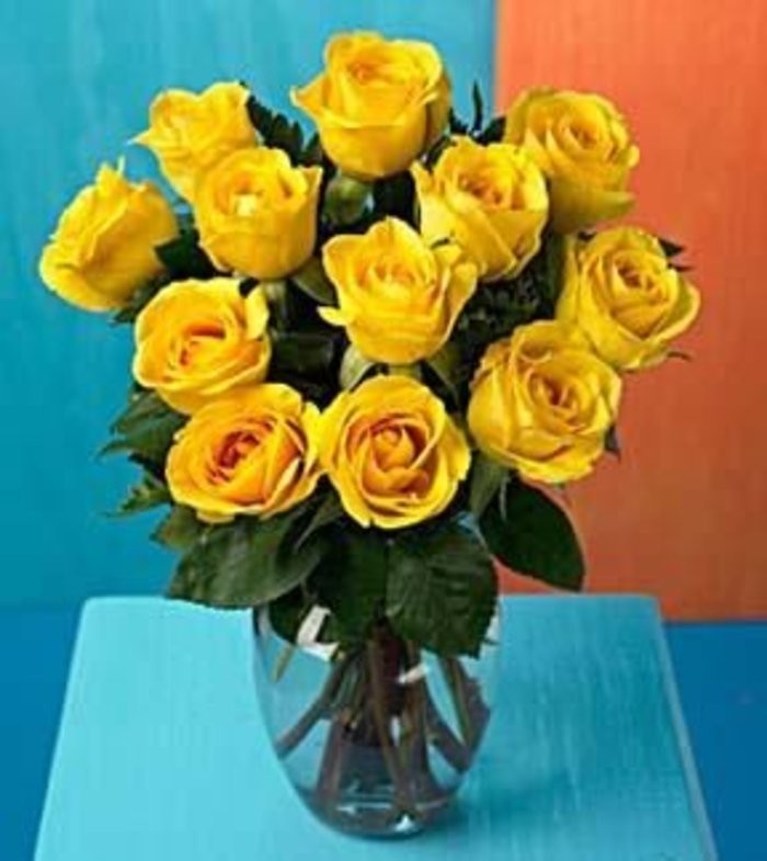 Dozen Yellow Medium Stemmed Roses in a Vase