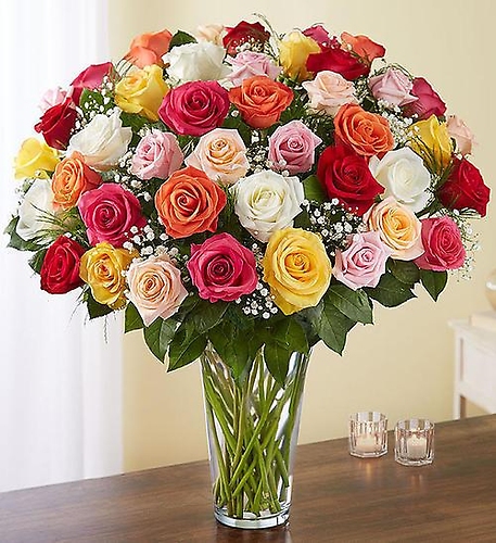 4 Dozen Mixed Roses - Mday