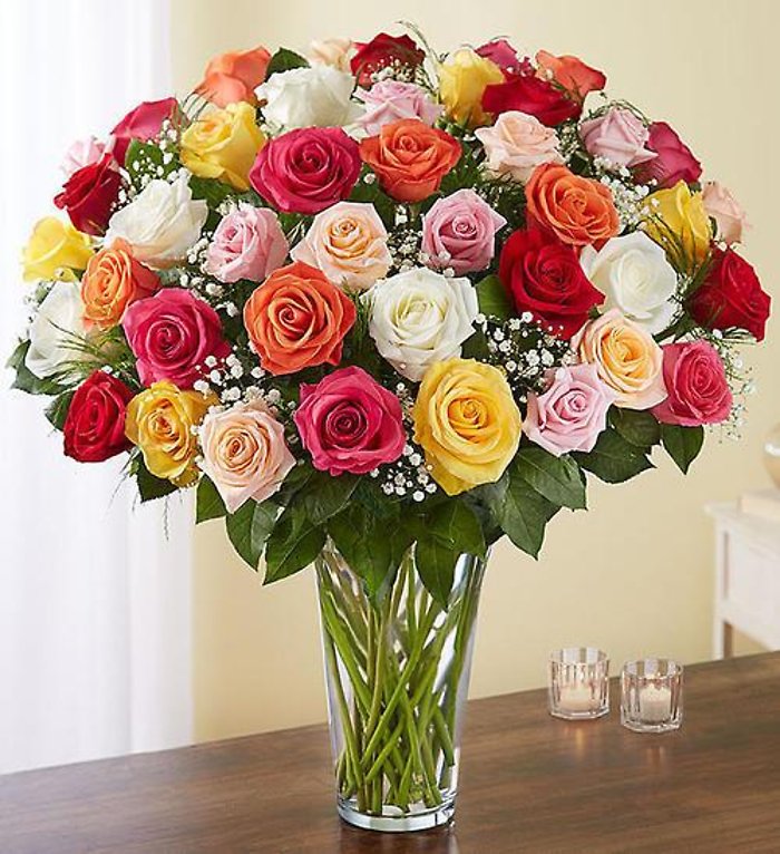 4 Dozen Prettiest Roses - Mday