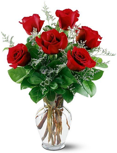 6 Red Roses - Mday