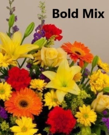 Bold Mix Designer\'s Choice Extra Large