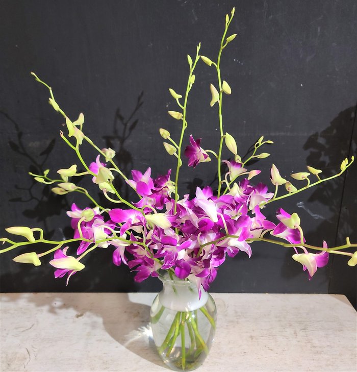 Purple Dendrobium Orchid Vase