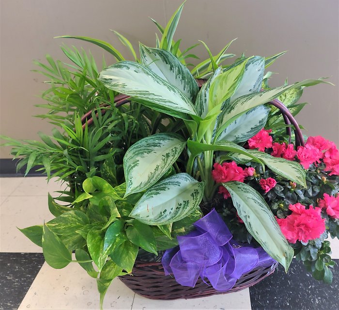 Azalea Attraction Garden Basket