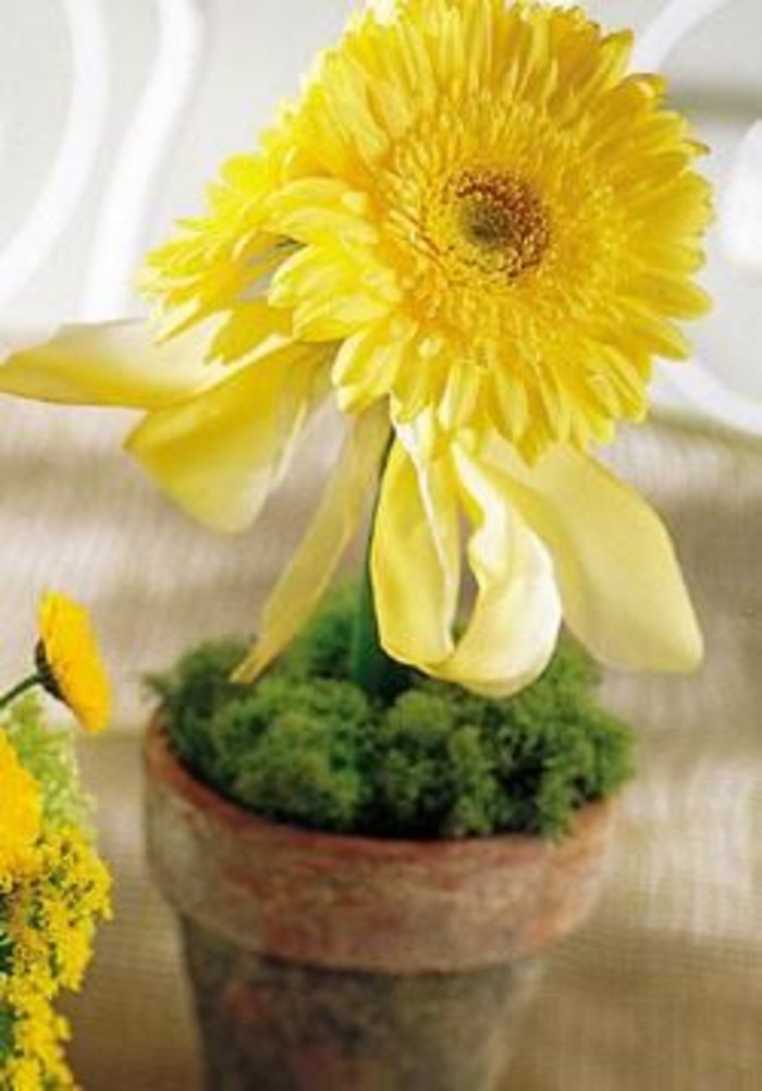 The Yellow Gerbera Centerpiece