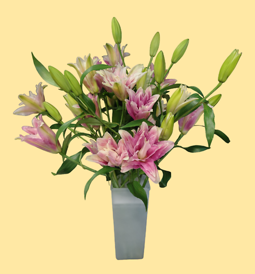 One Heart, Many Blooms Bouquet