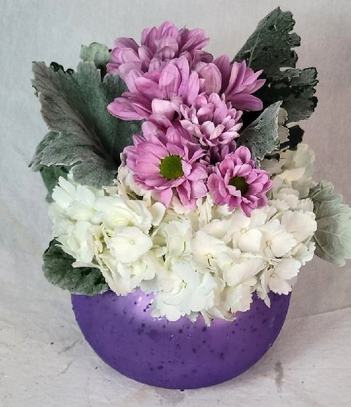 Purple Bowl