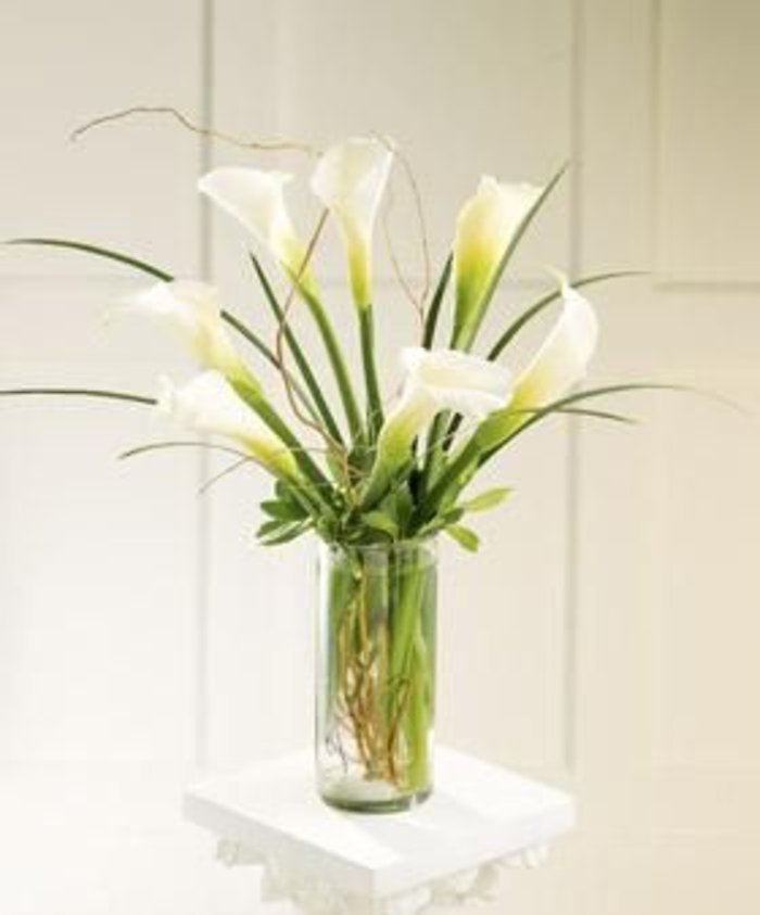 Simple Sophistication Arrangement
