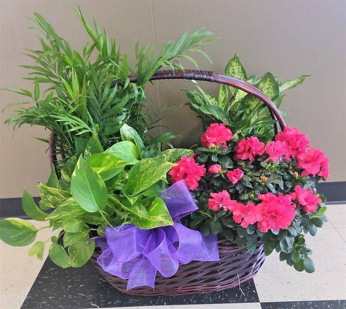 Azalea Attraction Garden Basket