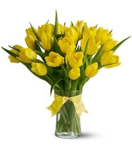 20 Yellow Tulips in a Vase