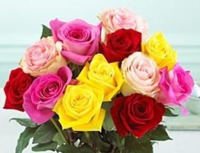Dozen Mixed Medium Stemmed Roses Wrapped