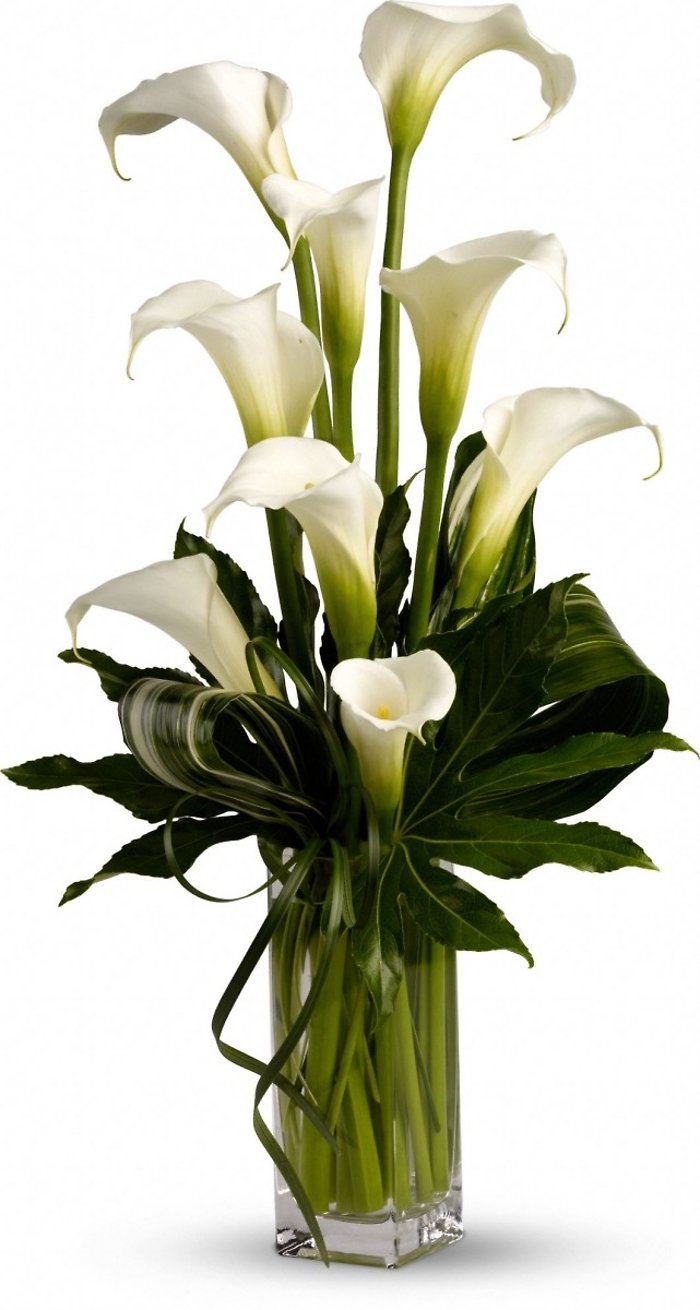 Callas in a Vase