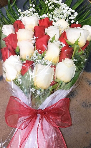 Two Dozen Prettiest Wrapped Roses