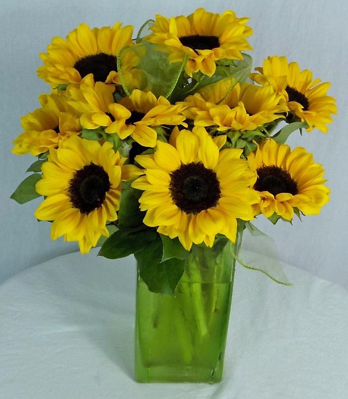 Sunny