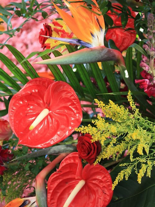 Tropical Spray Designer\'s Choice