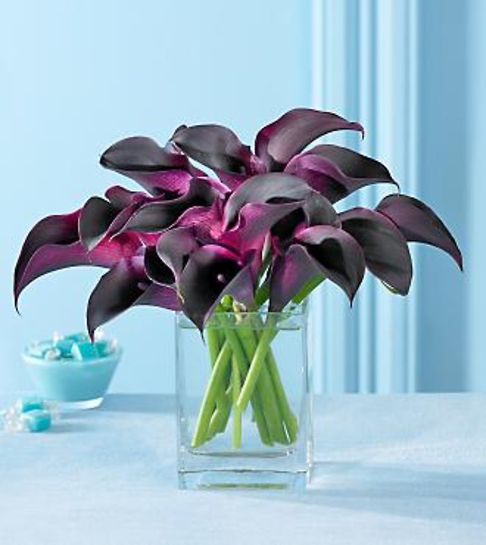 Sweet & Stylish Hot Chocolate Mini Calla Bouquet