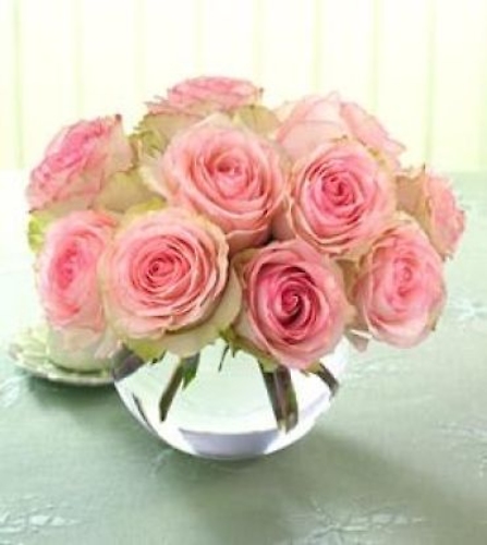 One Dozen Prettiest Roses Pave -Mday