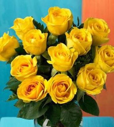 Dozen Medium Yellow Roses Wrapped