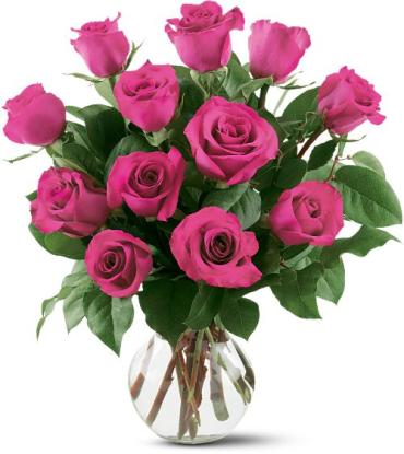 One Dozen Hot Pink Long Stem Roses