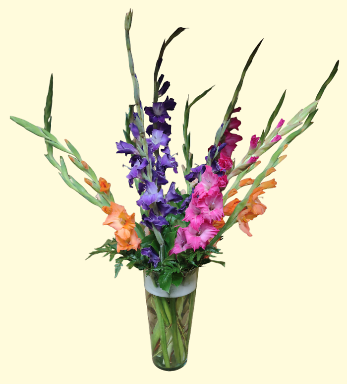 Glorious Gladioli!