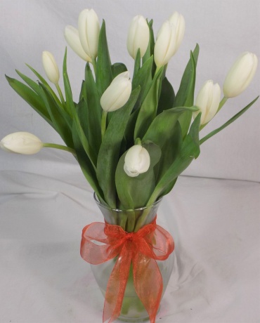 10 White Tulips