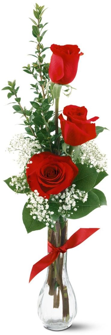 3 Red Roses - Vday