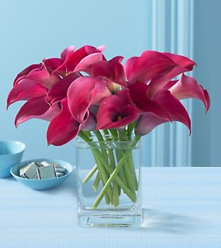 Pink Pirouette Mini Calla Bouquet