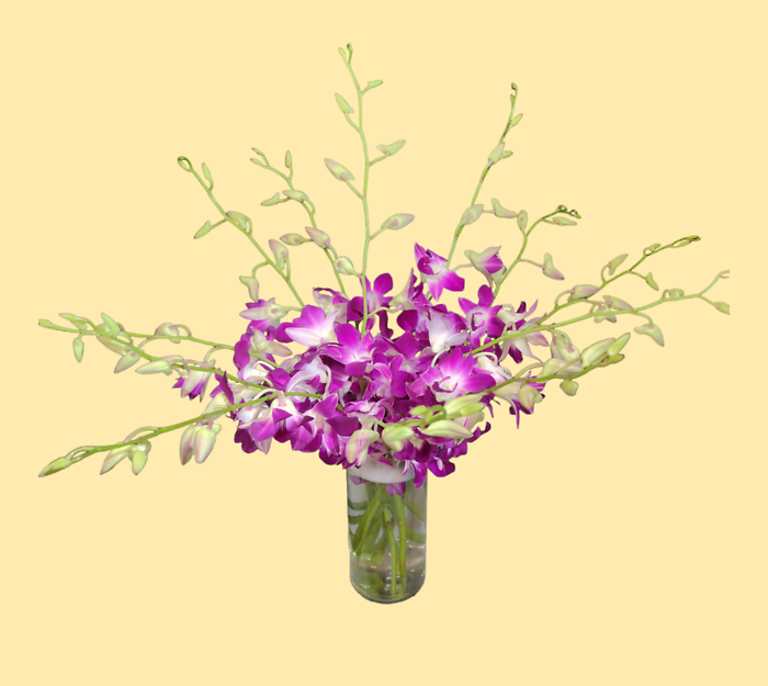 Purple Dendrobium Orchid Vase